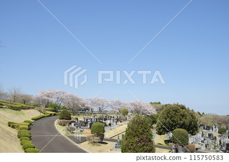 Graveyard Cemetery 115750583