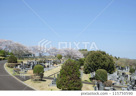 墓地墓地 墓地墓地 115750590