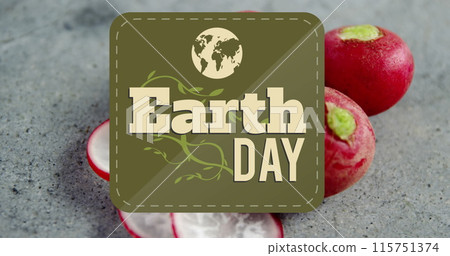 Image of earth day text banner against close up of red radish on grey surface 115751374