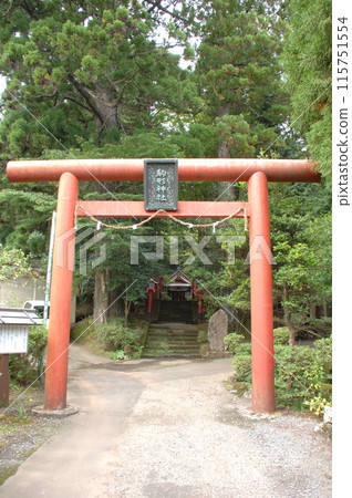 The torii gate of Komagata Shrine, the guardian deity of Hakone-juku (vertical composition) (Hakone-machi, Ashigarashimo-gun, Kanagawa Prefecture) 115751554