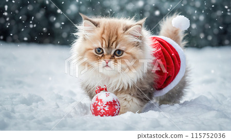 Christmas cat on snow. Tabby and happy kitten. New Year, holidays and celebrations 115752036