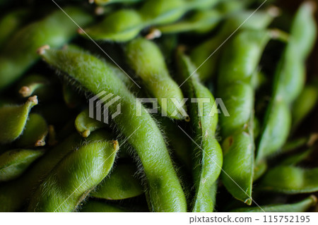 新鮮的毛豆 新鮮的毛豆 115752195