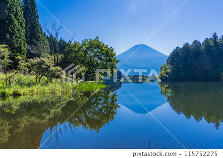 [Shizuoka Prefecture] View Mt. Fuji from Kyukamura Fuji's Fugaku Terrace 115752275