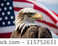 Bald eagle, against the background of the American flag, symbol of the 4th of July Independence Day 115752631