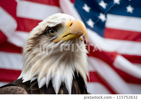 Bald eagle, against the background of the American flag, symbol of the 4th of July Independence Day 115752632