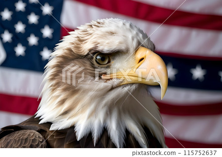 Bald eagle, against the background of the American flag, symbol of the 4th of July Independence Day 115752637