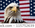 Bald eagle, against the background of the American flag, symbol of the 4th of July Independence Day 115752639