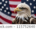 Bald eagle, against the background of the American flag, symbol of the 4th of July Independence Day 115752640