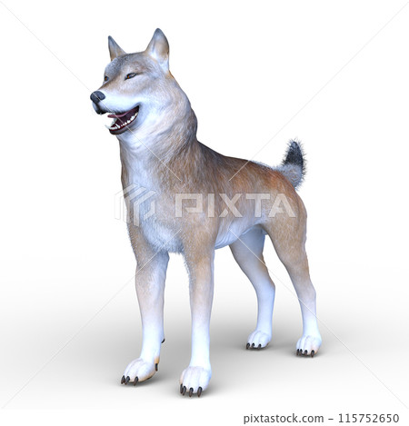 Wolf  115752650