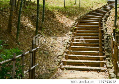 Landscape with stairs 115753012