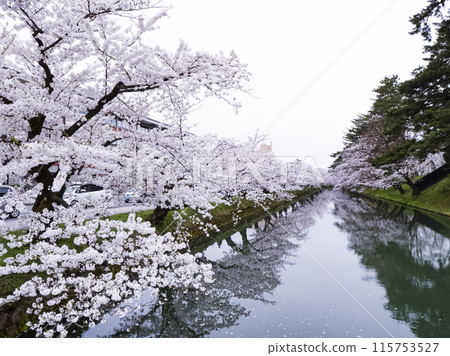 [Aomori] Cherry blossoms in full bloom at Hirosaki Park and their reflections in the moat 115753527