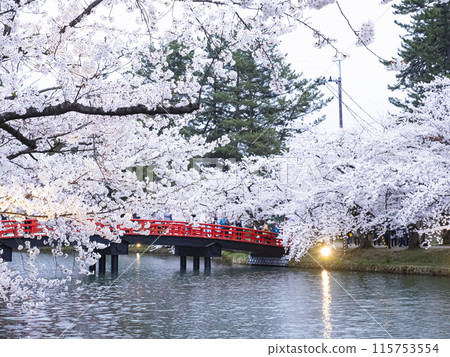 [青森]弘前公園盛開的櫻花 115753554
