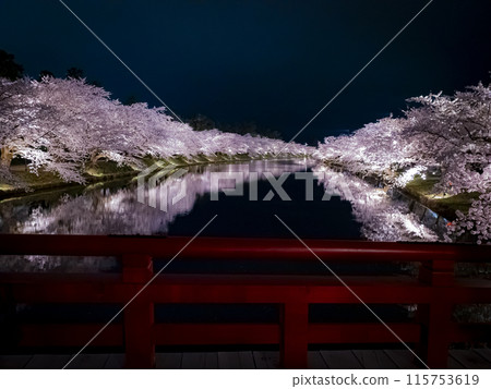 [青森]弘前公園盛開的櫻花與護城河的倒影 115753619