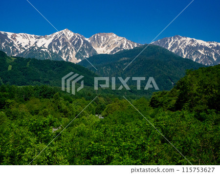Fresh greenery and remaining snow in the Northern Alps - Hakuba Sanzan 115753627