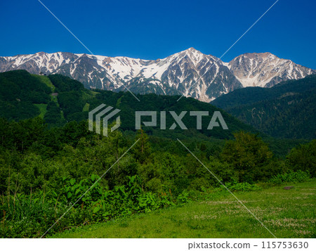 Fresh greenery and remaining snow in the Northern Alps - Hakuba Sanzan 115753630
