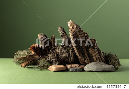 Abstract nature scene with a composition of moss, stones, and dry snags. Abstract nature scene with a composition of moss, stones, and dry snags. 115753647