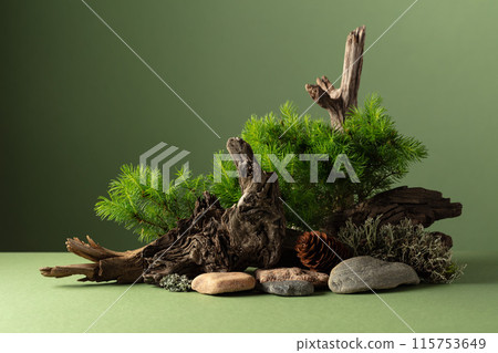 Abstract nature scene with a composition of spruce branches, stones, and dry snags. Abstract nature scene with a composition of spruce branches, stones, and dry snags. 115753649