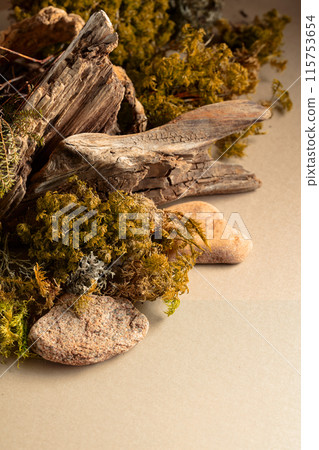 Abstract north nature scene with a composition of lichen, moss, and old snags. 115753654