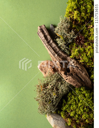 Abstract north nature scene with a composition of lichen, moss, and old snags on a green background. Abstract north nature scene with a composition of lichen, moss, and old snags on a green background. 115753655