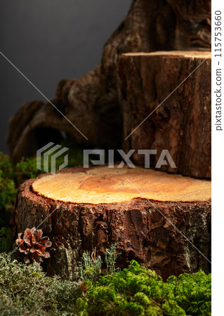 Composition with natural wood, moss and lichen for advertising eco products. Composition with natural wood, moss and lichen for advertising eco products. 115753660