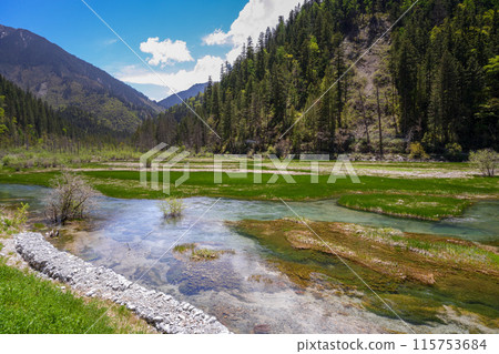 Jiuzhaigou is a nature reserve and national park located in the north of Sichuan, China 115753684
