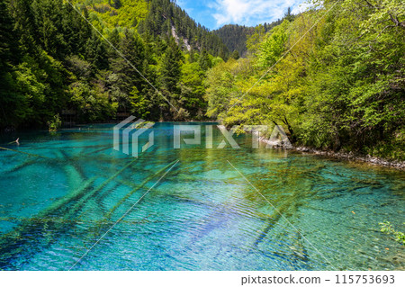 Jiuzhaigou is a nature reserve and national park located in the north of Sichuan, China Jiuzhaigou is a nature reserve and national park located in the north of Sichuan, China 115753693