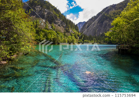 Jiuzhaigou is a nature reserve and national park located in the north of Sichuan, China 115753694
