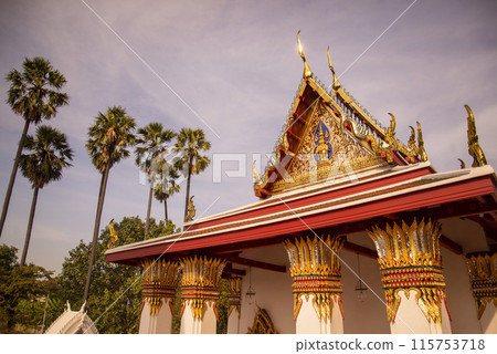 THAILAND AYUTTHAYA WAT SUWAN DARARAM THAILAND AYUTTHAYA WAT SUWAN DARARAM 115753718