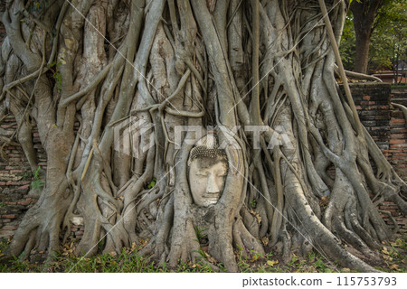 THAILAND AYUTTHAYA WAT MAHATHAT 115753793