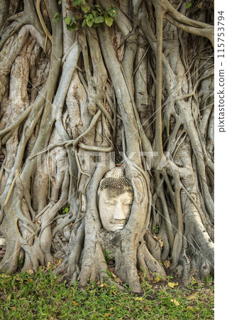 THAILAND AYUTTHAYA WAT MAHATHAT THAILAND AYUTTHAYA WAT MAHATHAT 115753794
