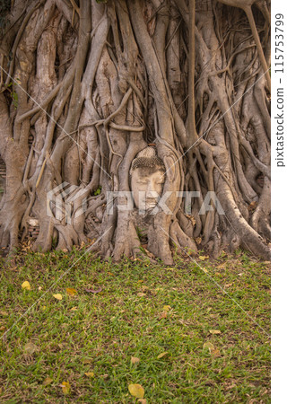 THAILAND AYUTTHAYA WAT MAHATHAT THAILAND AYUTTHAYA WAT MAHATHAT 115753799
