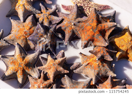 a group of dried starfish 115754245