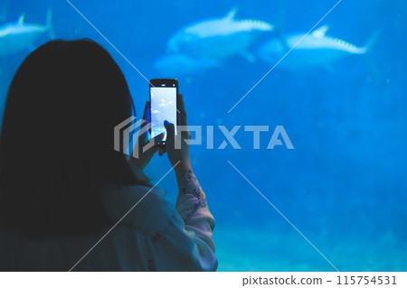 Back view of a woman taking a photo of fish at an aquarium with her smartphone 115754531