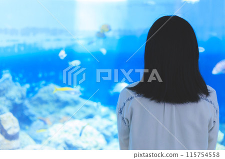 Woman's back view looking at fish in an aquarium 115754558