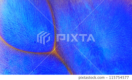 Top view of macro abstract photography of the gradient blue acrylic background 115754577