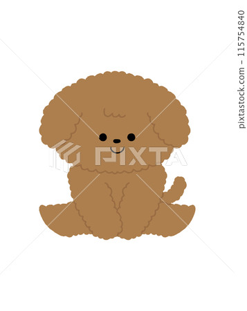 狗/玩具貴賓犬/坐 115754840