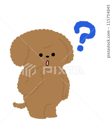 狗狗/玩具貴賓犬/Hatena 115754845