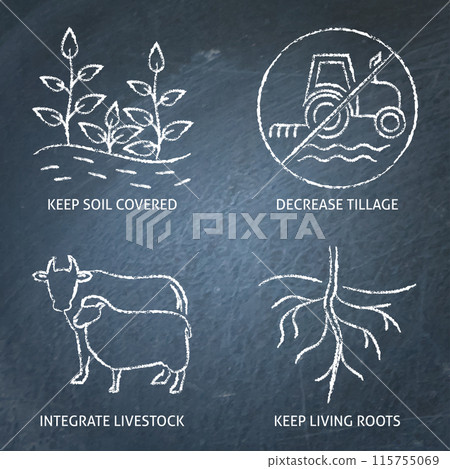 Regenerative agriculture principles chalkboard icon set Regenerative agriculture principles chalkboard icon set 115755069