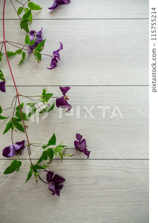 branch of blooming purple clematis, on a light wooden table branch of blooming purple clematis, on a light wooden table 115755214