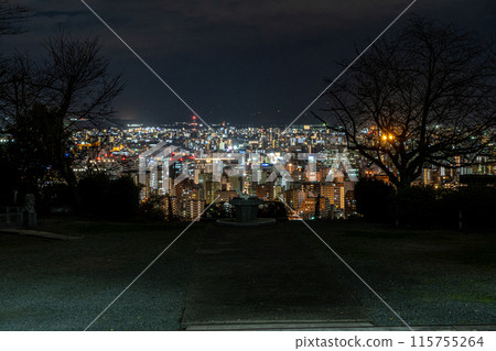 從花岡山公園看熊本市的夜景 115755264
