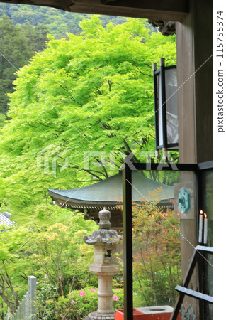 安藝宮島大聖院燭光下的新綠色景觀 安藝宮島大聖院燭光下的新綠色景觀 115755374