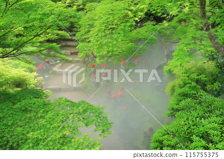 安藝宮島大聖院新綠中的五百尊羅漢雕像,在薄霧中朦朧 安藝宮島大聖院新綠中的五百尊羅漢雕像,在薄霧中朦朧 115755375