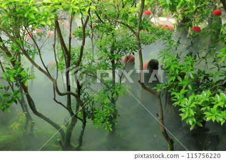 安藝宮島大聖院霧氣繚繞的五百羅漢像 115756220