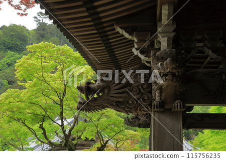 The dragon sculpture at Miyajima Daisho-in Temple in Aki stands out against the vibrant greenery of fresh greenery 115756235