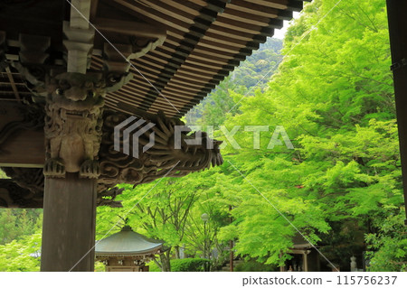 Dragon sculpture and vibrant green maple leaves at Daisho-in Temple on Miyajima in Aki 115756237