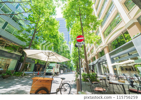 [Tokyo] Scenery of Marunouchi Nakadori surrounded by fresh greenery in early summer 115756259