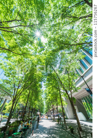 [Tokyo] Scenery of Marunouchi Nakadori surrounded by fresh greenery in early summer 115756267