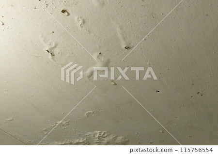 The paint on the ceiling is loose due to a leak. Leaking ceiling in the bathroom. The paint on the ceiling is loose due to a leak. Leaking ceiling in the bathroom. 115756554