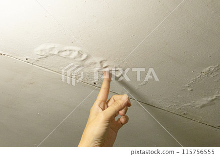 由於雨水從浴室的天花板漏水，天花板上的油漆剝落了。 115756555