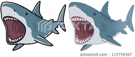 Megalodon 115756567